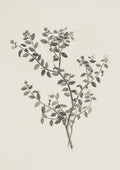 Wildflower Prints Neutral Floral Gallery Wall Decor Antique Summer Landscape Poster Garden Countryside Aesthetic Wall Decoration