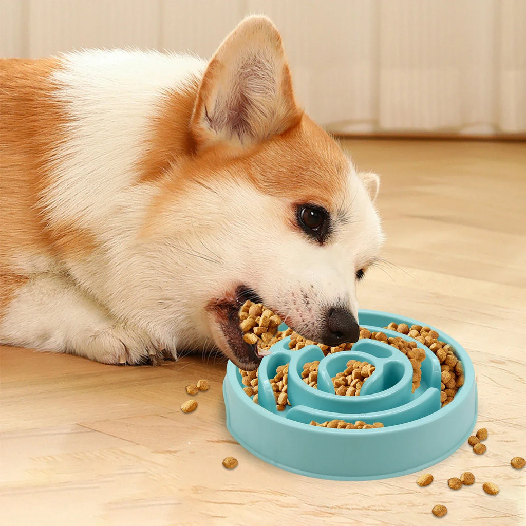 Pet Dog Slow Feeder Bowl Fun Non Slip Anti-Gulping Slower Food Feeding Dishes Eco Dog Bowl for Small Medium Large Dogs Puppy