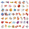 50/100PCS Cartoon Colorful Goldfish Stickers Waterproof Transparent PET Decorative Stationery Notebook Stickers Reward