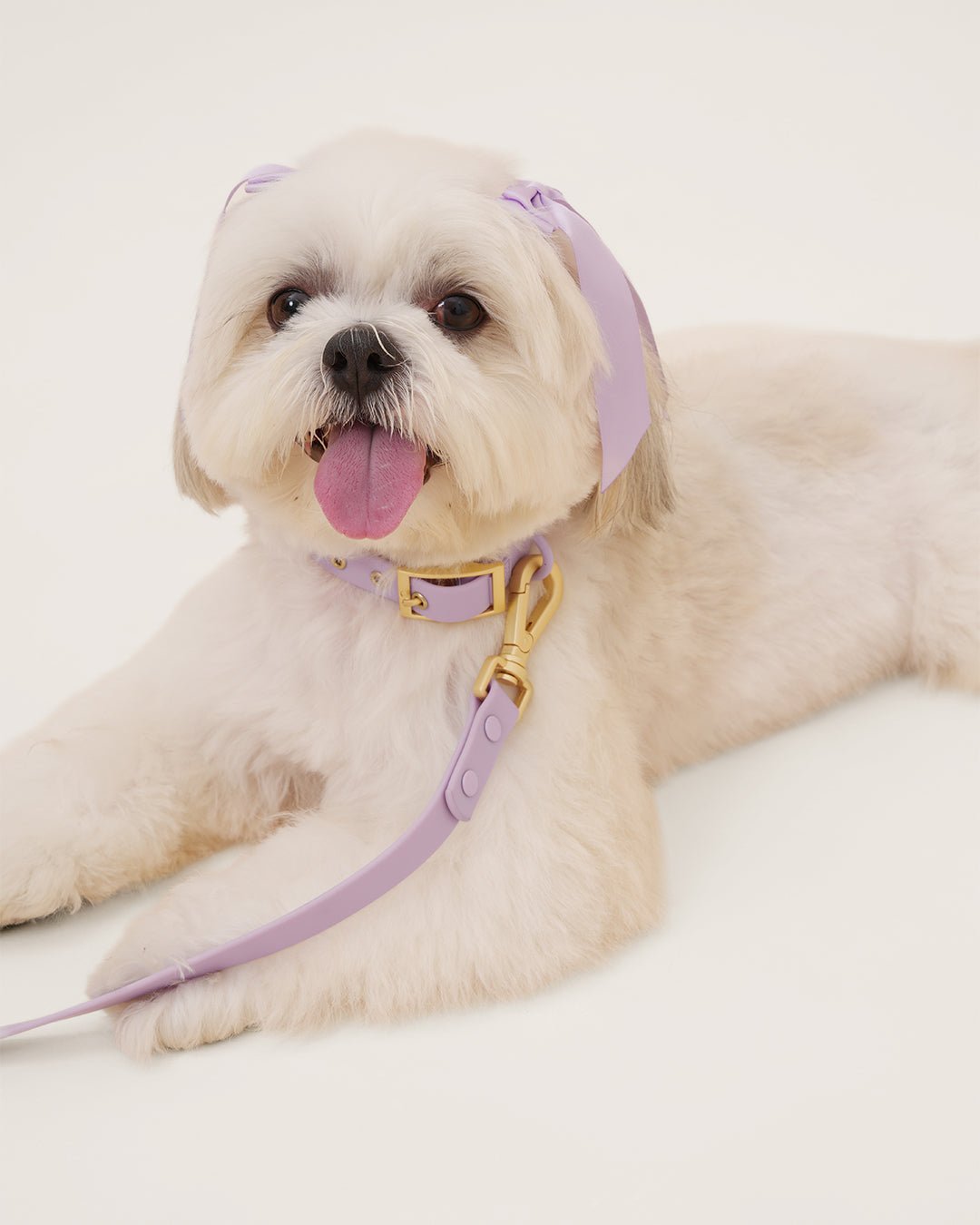 Wander! Multiway Leash - Lilac