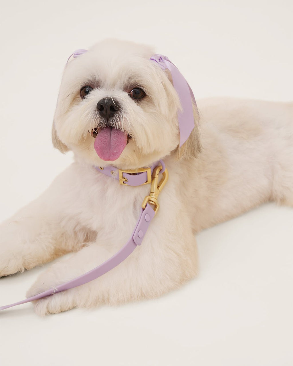 Wander! Waterproof Collar - Lilac