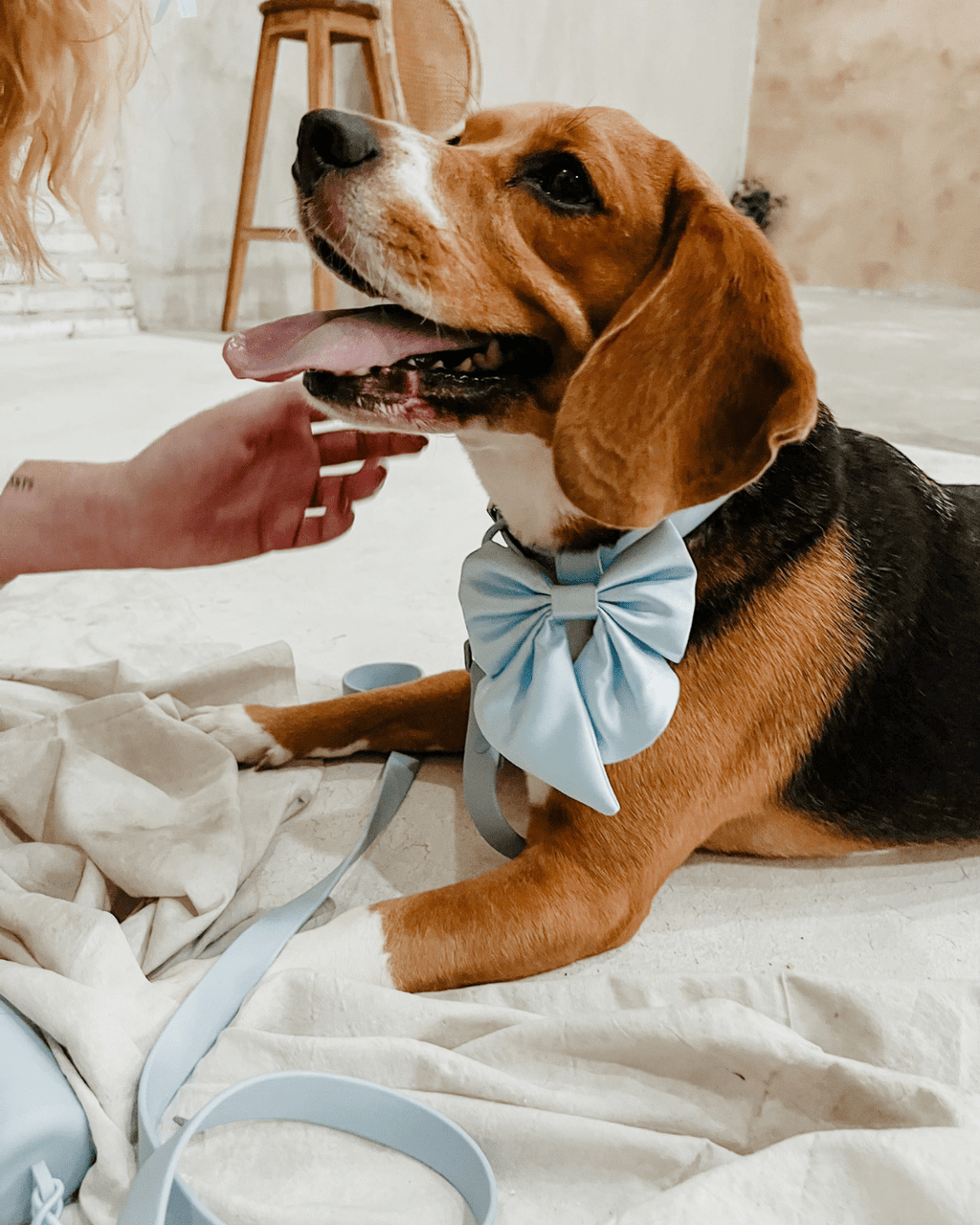 Wander! Waterproof Collar - Sky