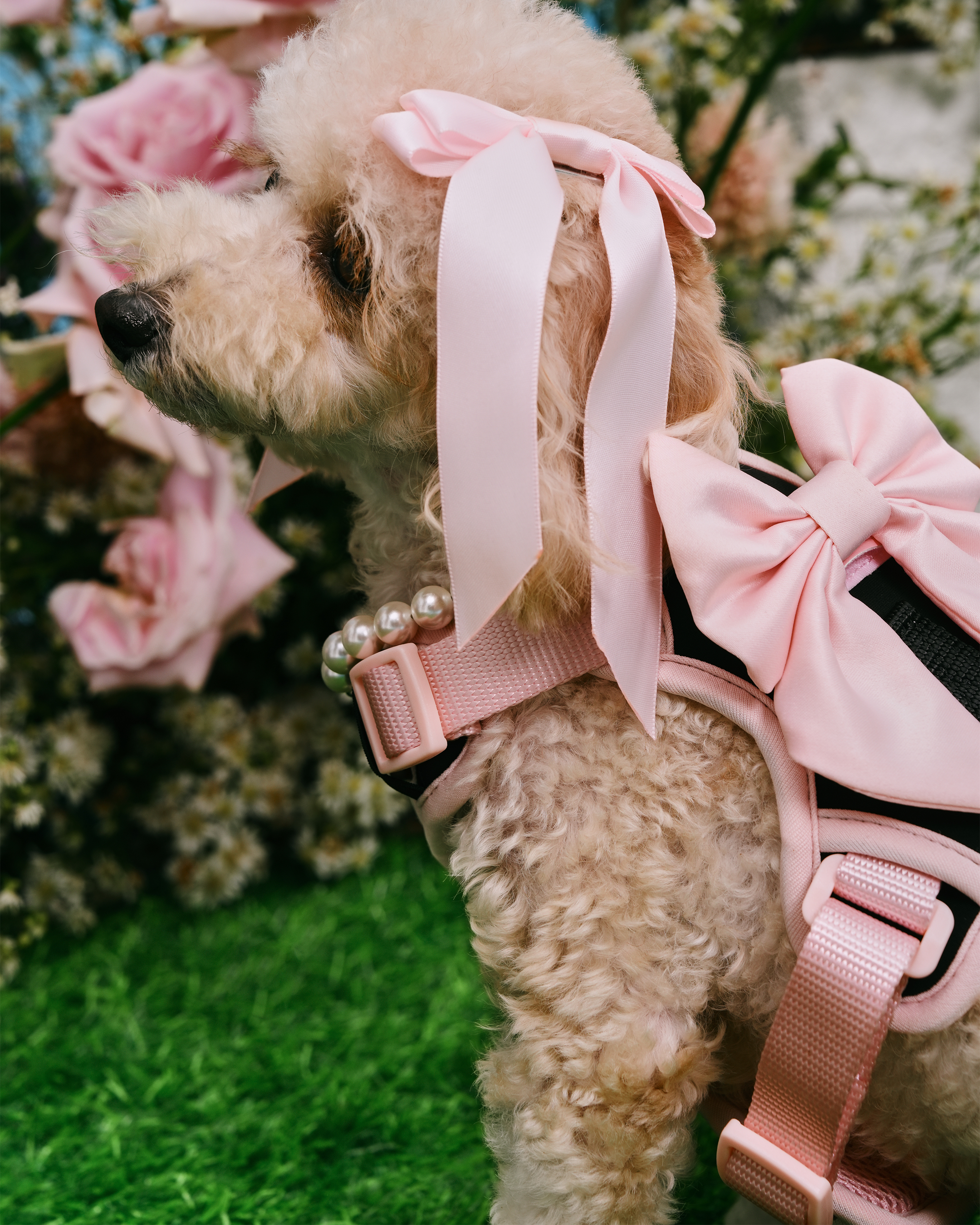 Petite Bow Clips - Blossom