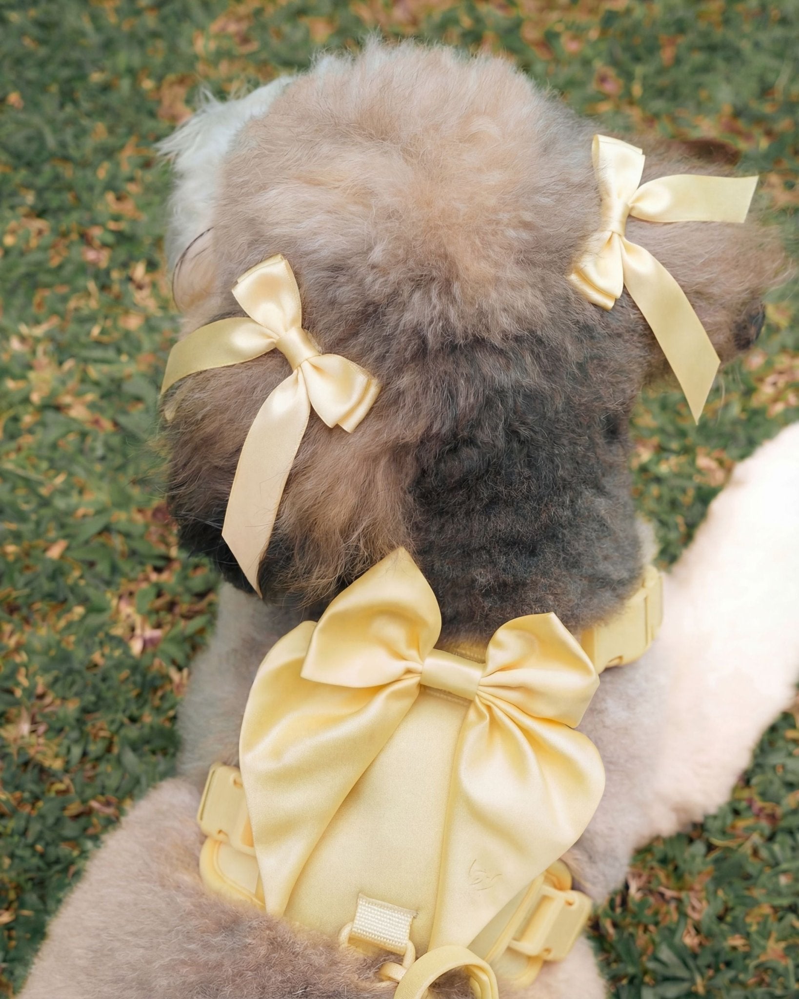 Petite Bow Clips - Buttercream