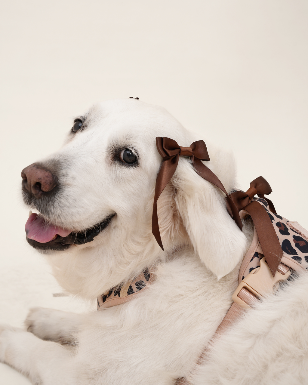Petite Bow Clips - Cocoa