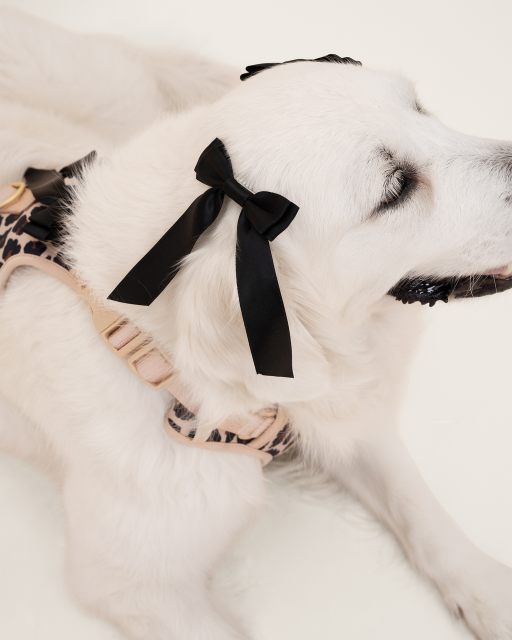 Petite Bow Clips - Midnight