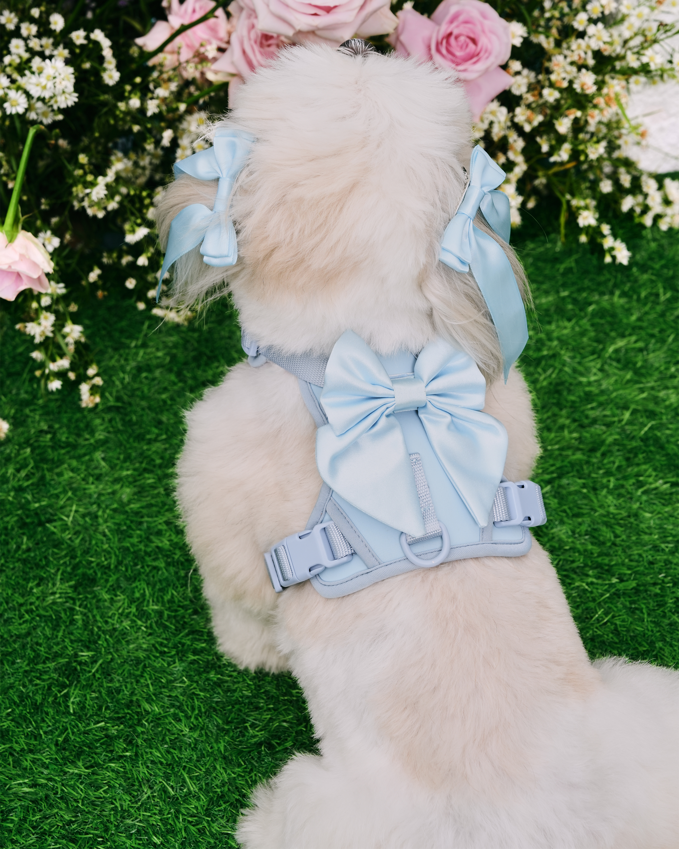 Wander! Bow Harness Sky