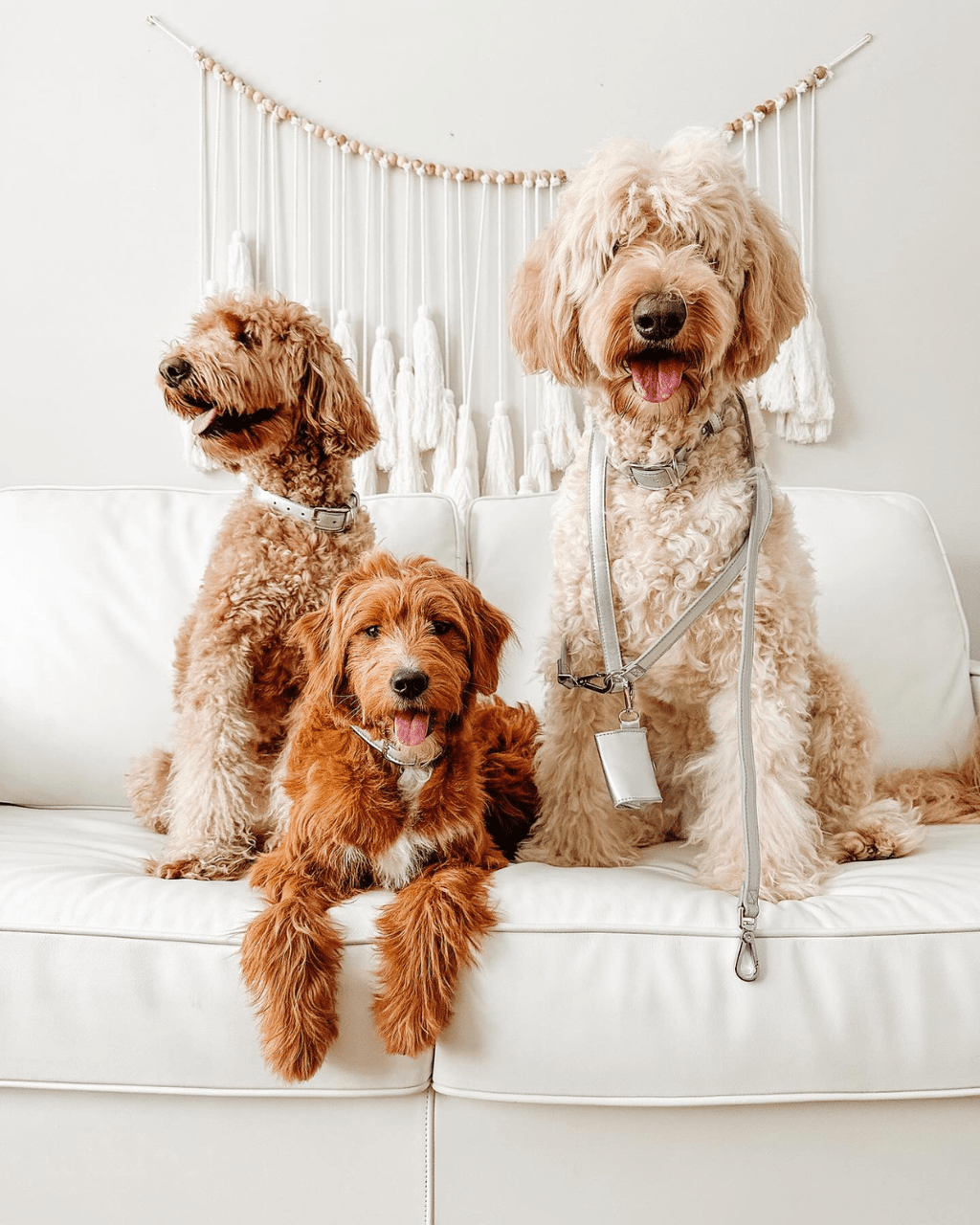 Shine Multiway Metallic Leather Leash & Poop Bag Pouch