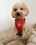 The Grace Necklace
