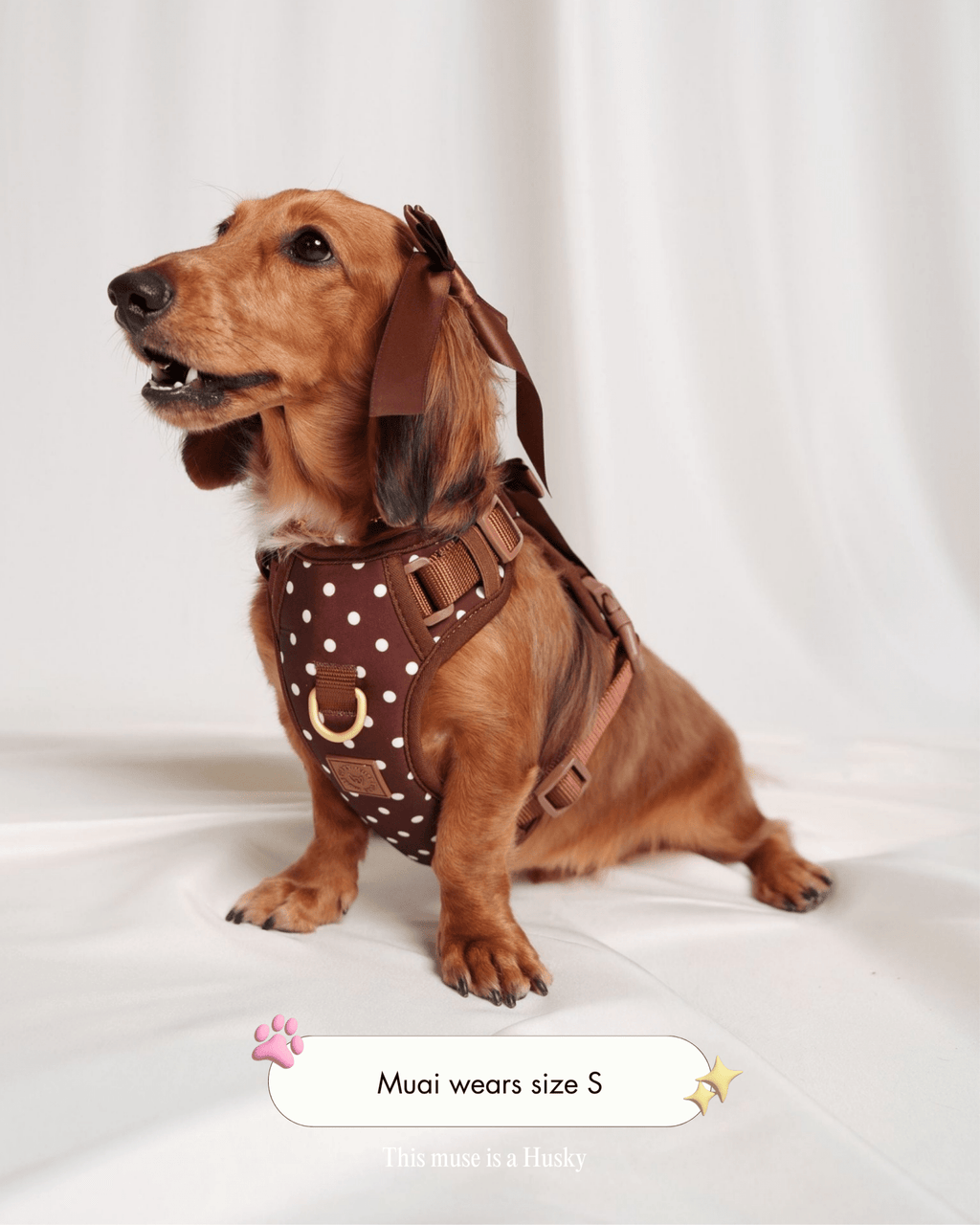 Wander! Bow Harness 2.0 - Cocoa Polka