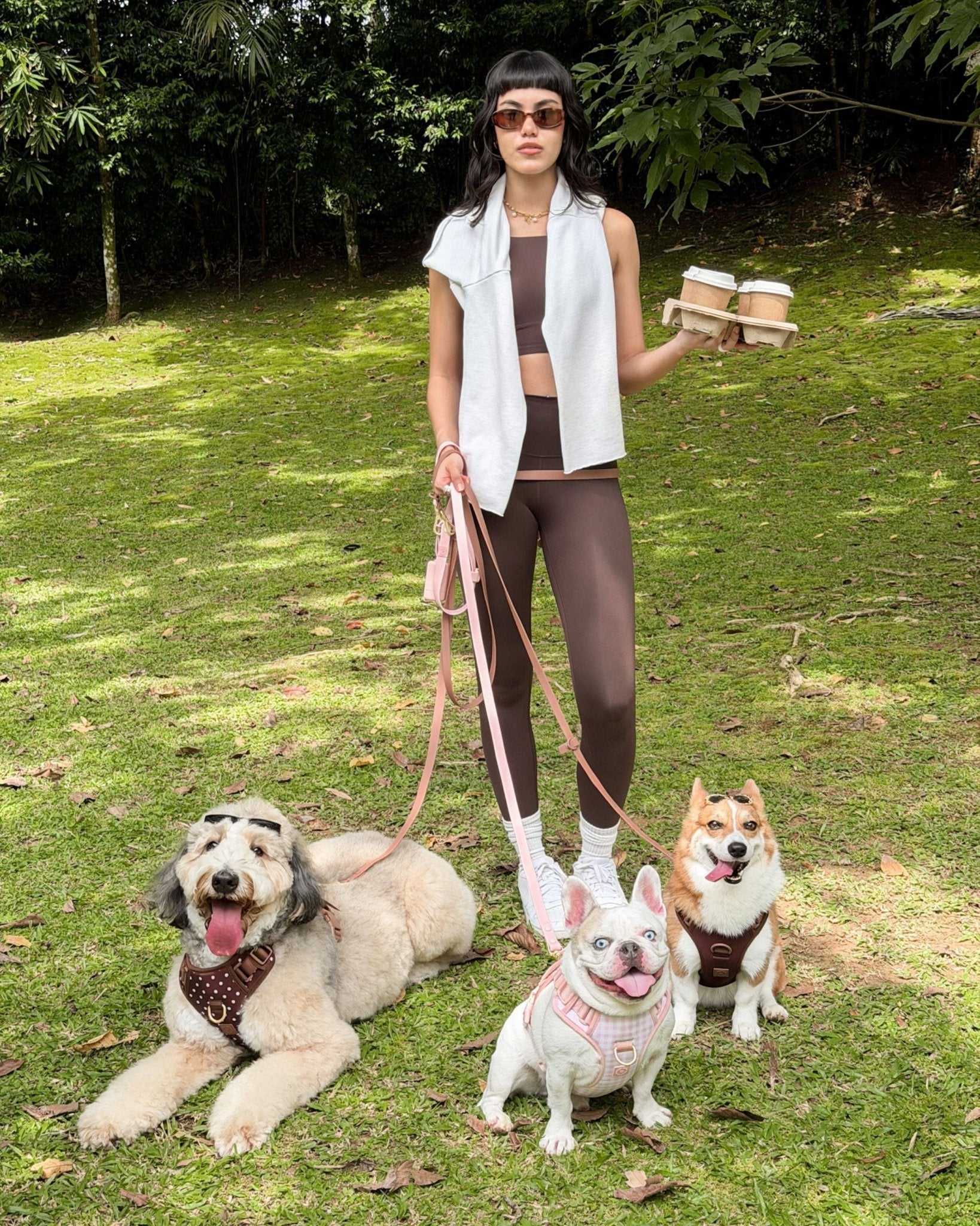 Wander! Bow Harness 2.0 - Cocoa Polka
