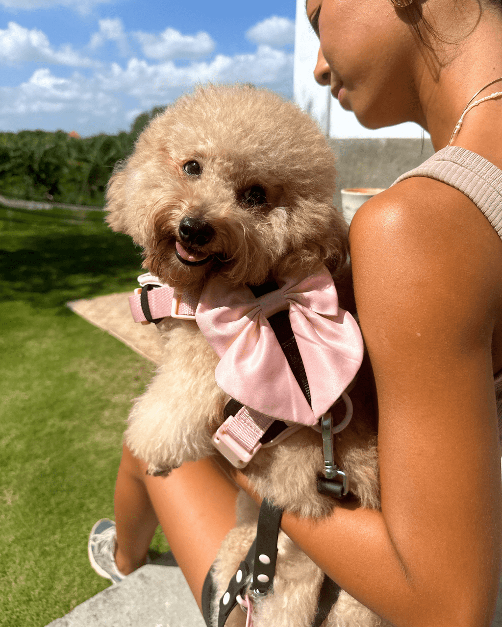 Wander! Bow Harness Ballerina