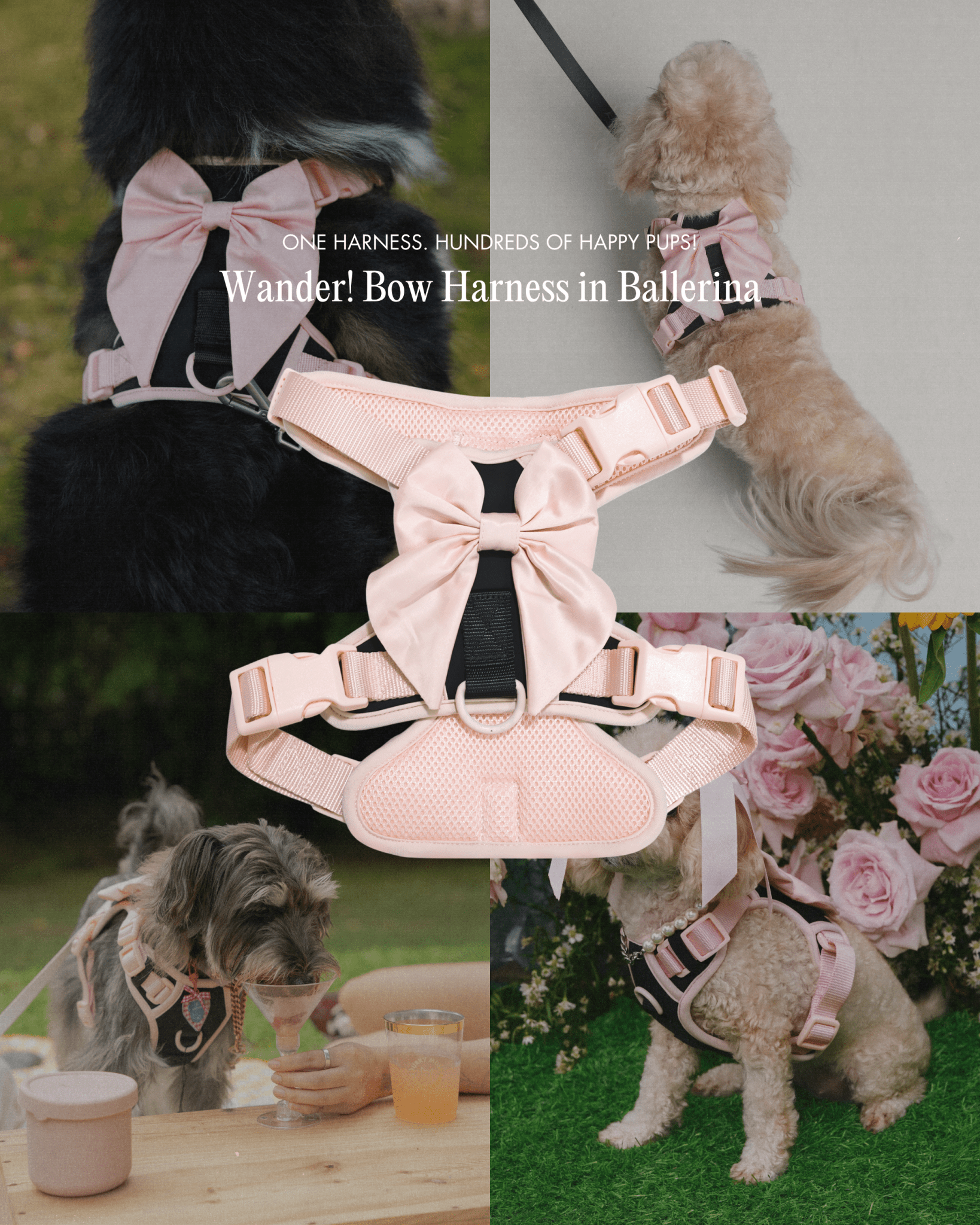 Wander! Bow Harness Ballerina