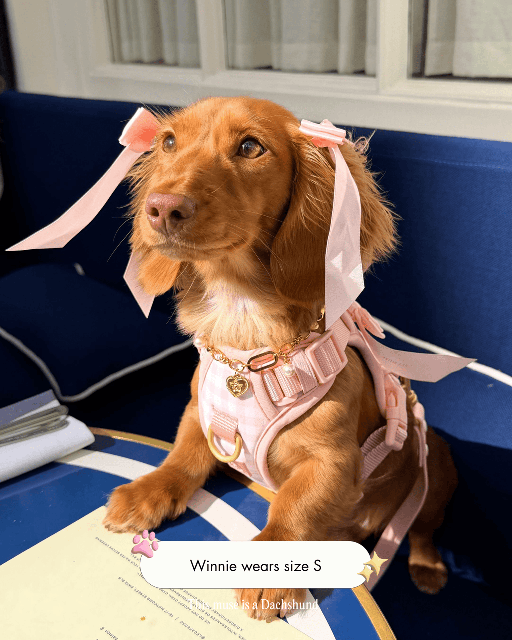 Wander! Bow Harness 2.0 - Blossom Gingham