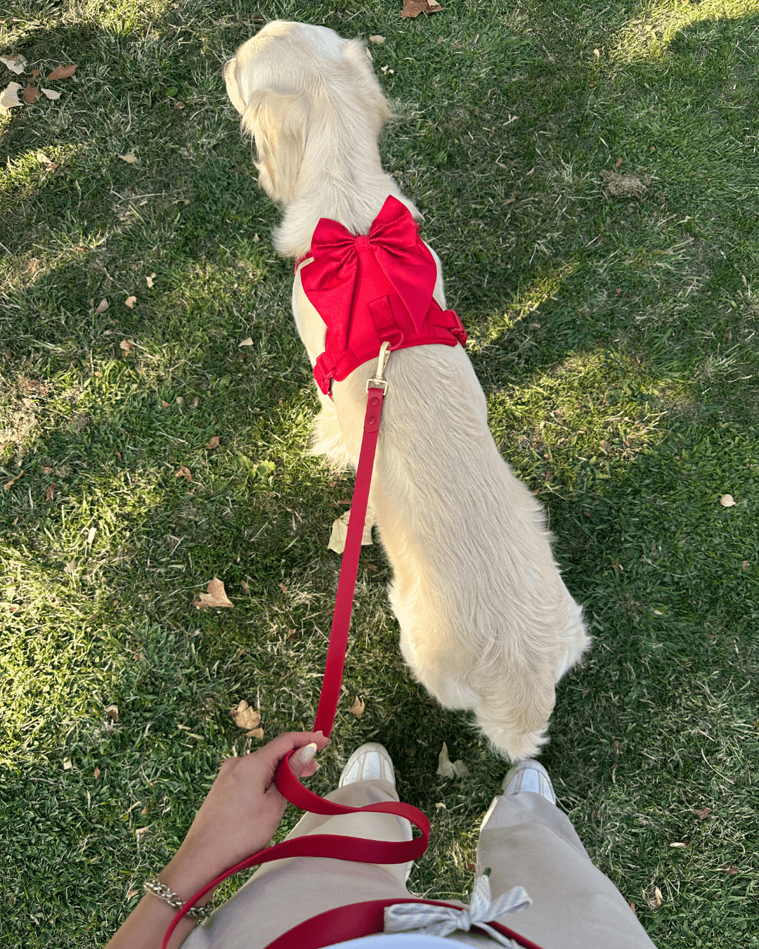 Wander! Multiway Leash -  Cherry