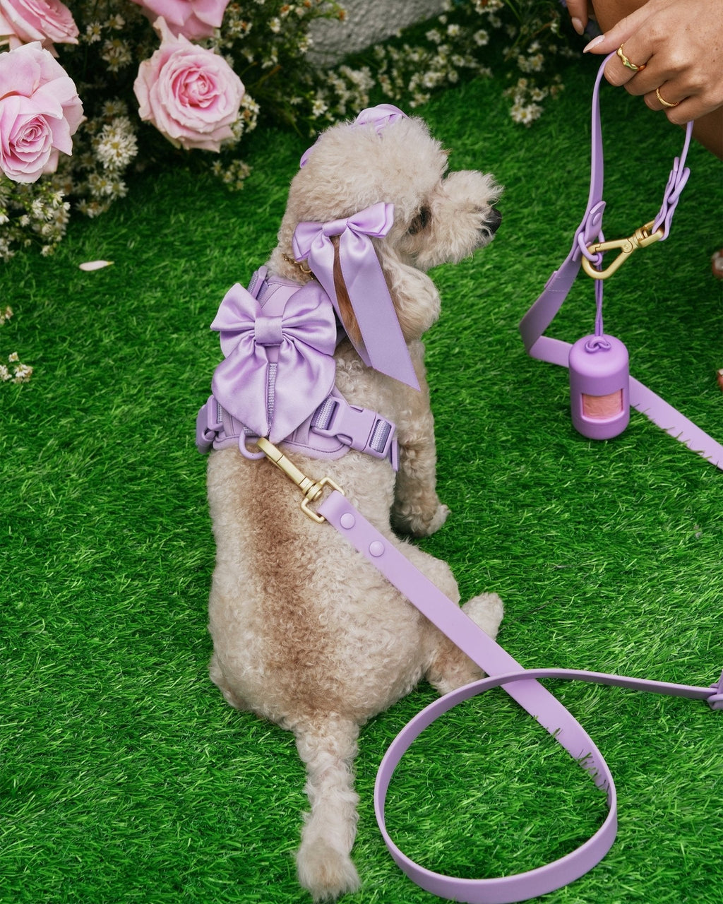 Wander! Multiway Leash - Lilac