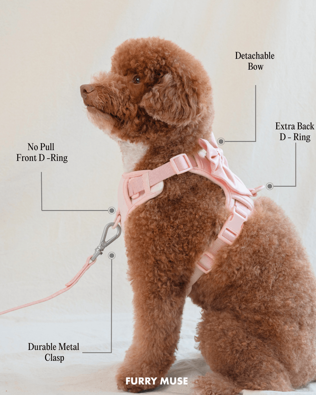 Wander! Bow Harness Sky