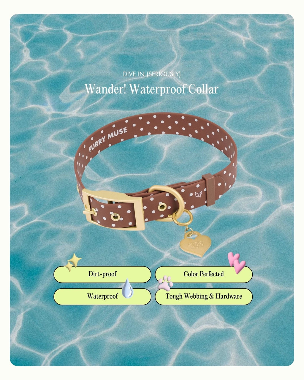 Wander! Collar 2.0 - Cocoa Polka Dot