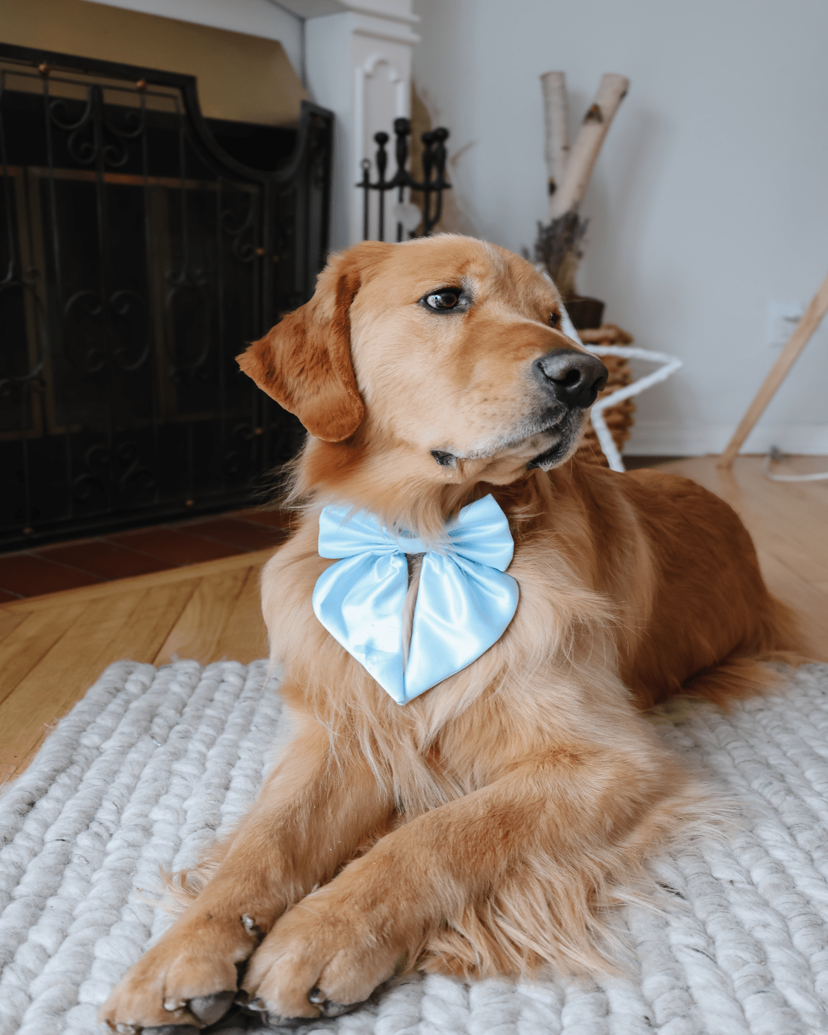 Satin Collar Bow - Sky