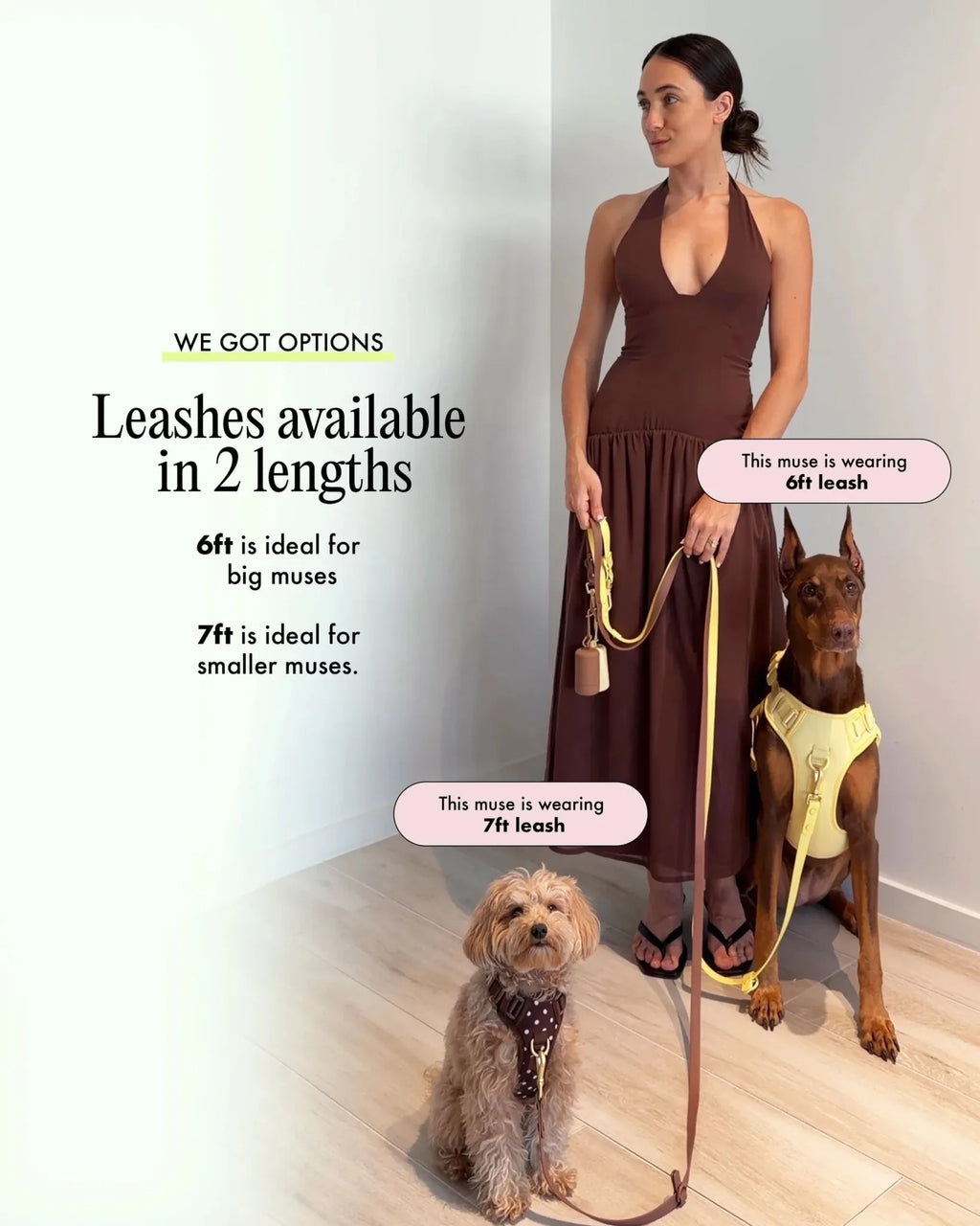 Wander! Multiway Leash -  Latte