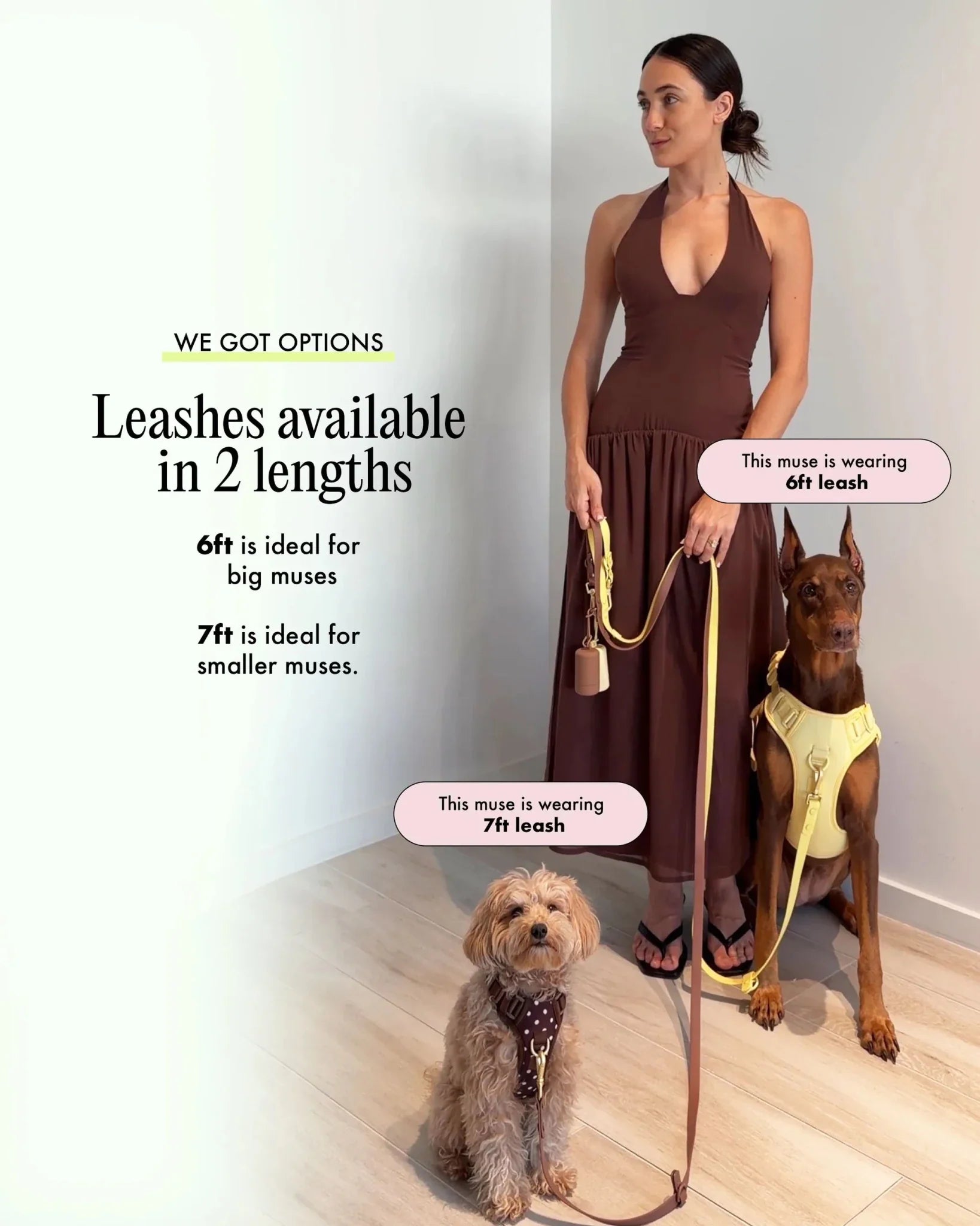 Wander! Multiway Leash -  Cherry