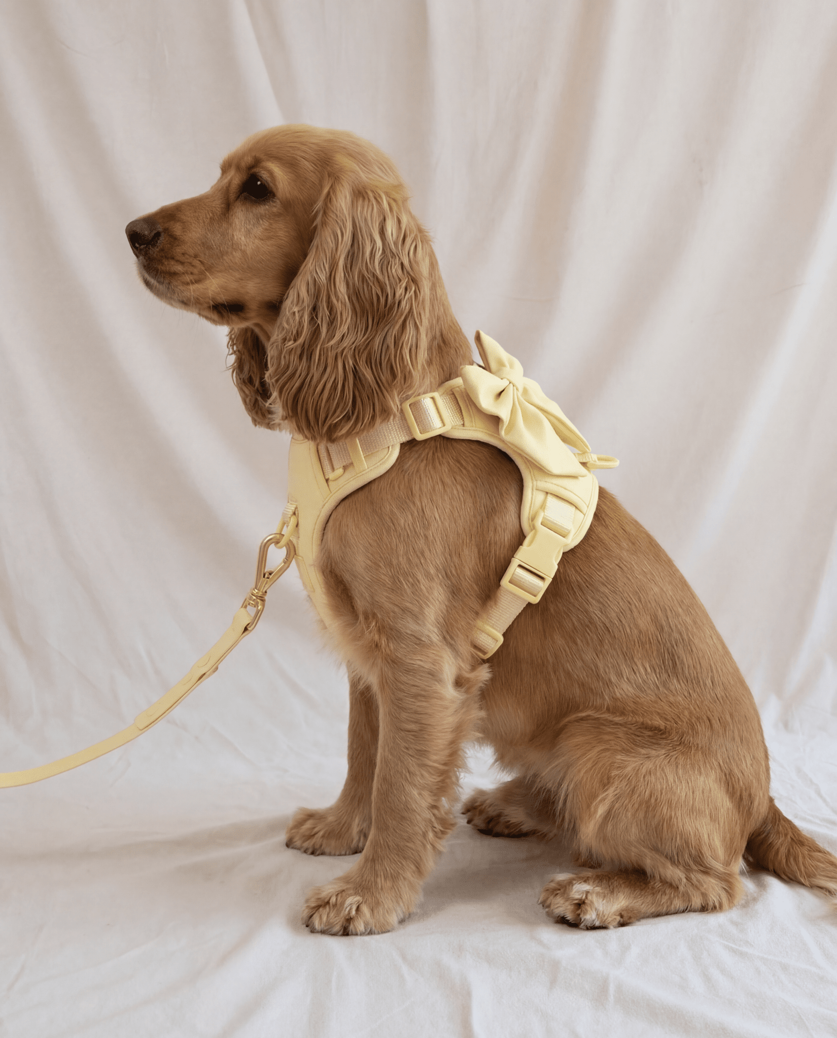 Wander! Multiway Leash - Buttercream