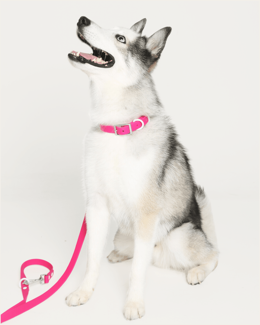 Wander! Multiway Leash - Bubblegum