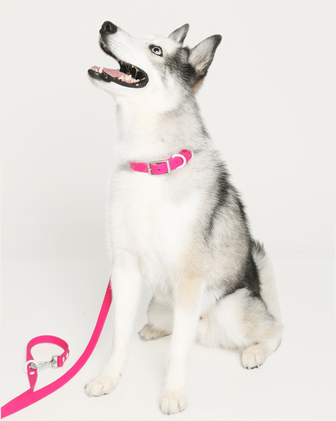 Wander! Multiway Leash - Bubblegum