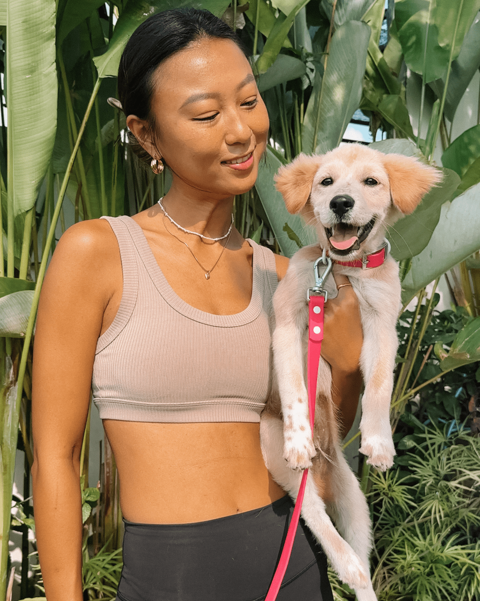 Wander! Multiway Leash - Bubblegum
