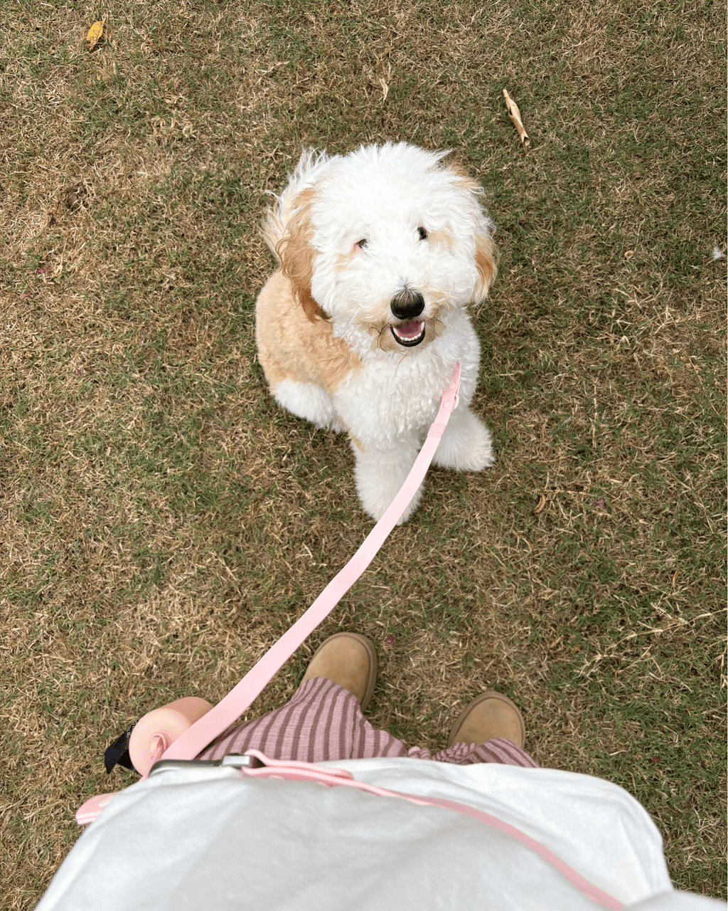 Wander! Poop Bag Pouch - Blossom