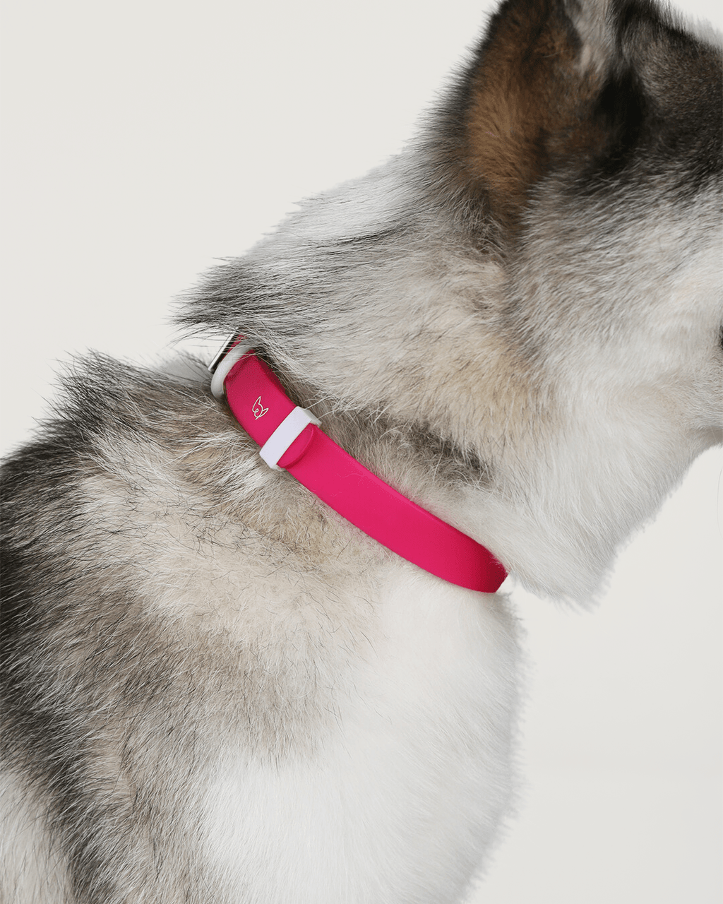 Wander! Waterproof Collar - Bubblegum