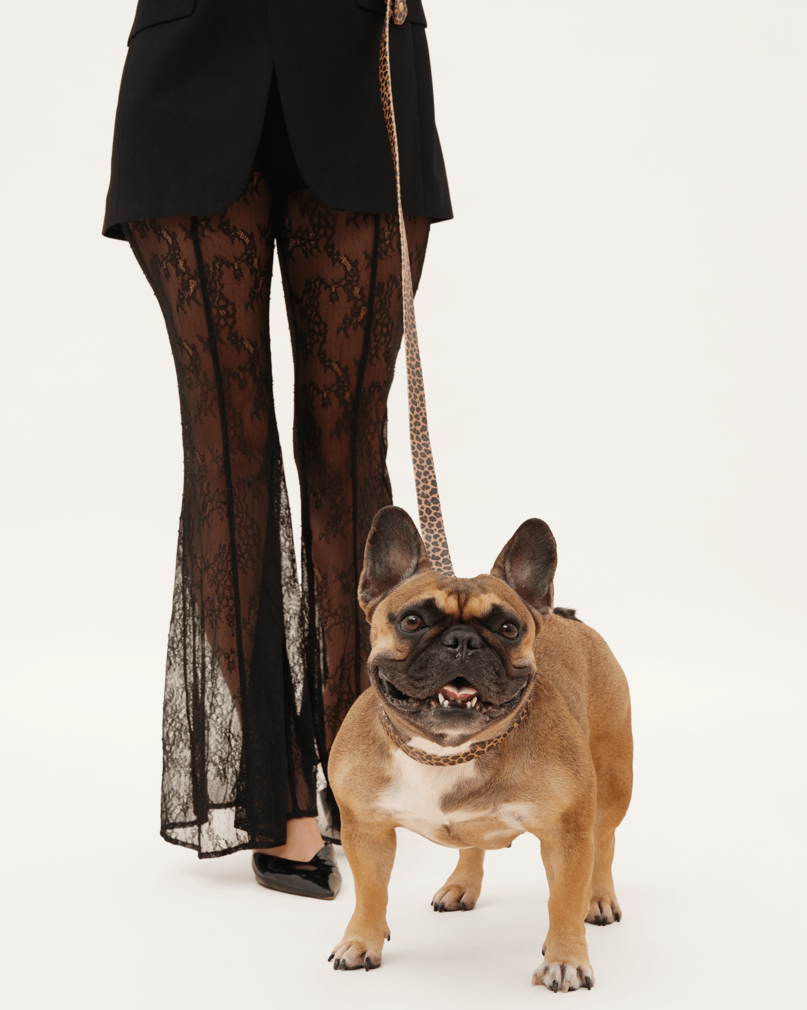 Wander! Waterproof Collar - Leopard